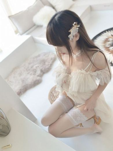 布拉芙夫人免费