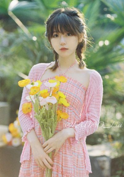 竹夫人在线免费观看