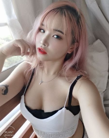 免费追剧网络影视大全