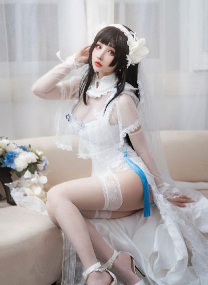 狗狗博客