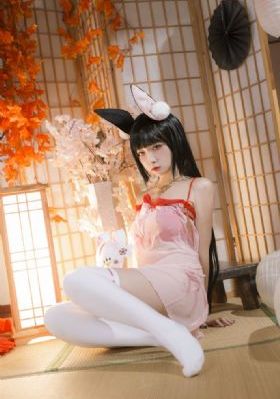 蜜桃大片大片免费播放器
