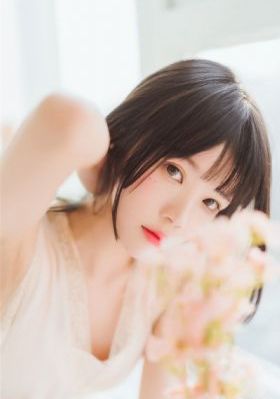 燕双鹰50集免费