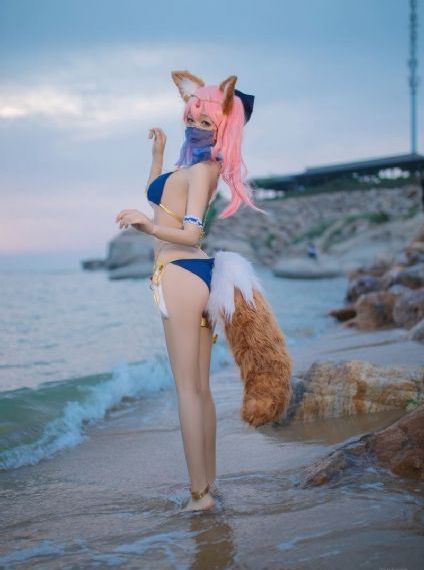 加菲猫家族