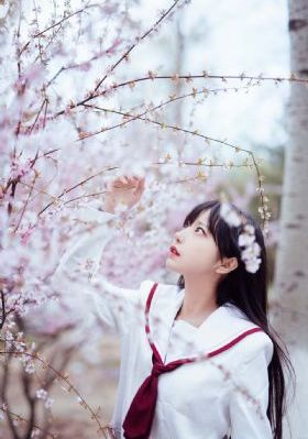 玫瑰故事40集免费观看