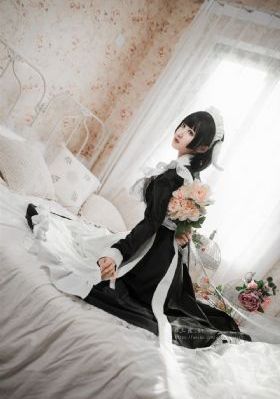 乘龙赘婿
